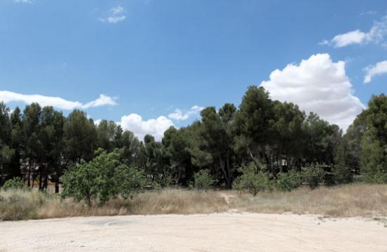 Se Vende en Caravaca de la Cruz - MURCIA