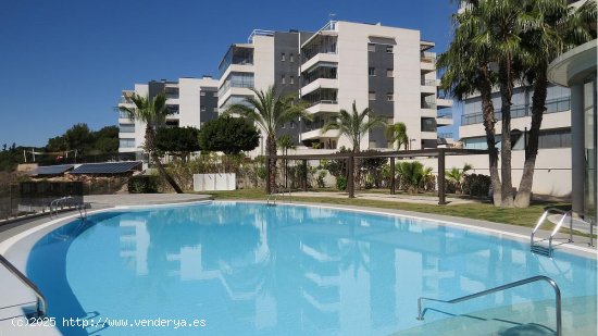  Apartamento en venta en Orihuela (Alicante) 