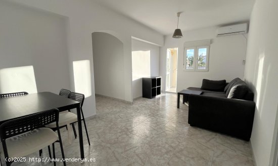 Apartamento en alquiler en Palma de Mallorca (Baleares)