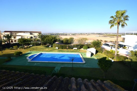 Bungalow en alquiler en Guardamar del Segura (Alicante)