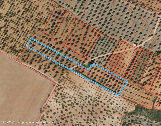 Finca en venta en Cretas (Teruel)