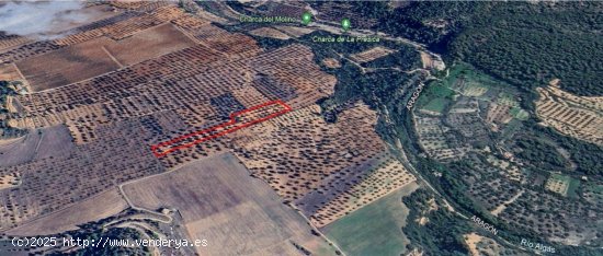 Finca en venta en Cretas (Teruel)