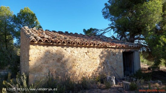  Finca en venta en Mazaleón (Teruel) 