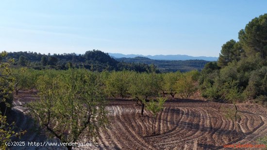 Finca en venta en Mazaleón (Teruel)