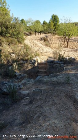 Finca en venta en Mazaleón (Teruel)