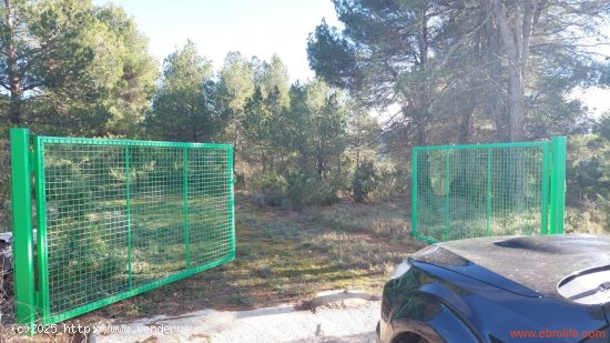  Finca en venta en Monroyo (Teruel) 