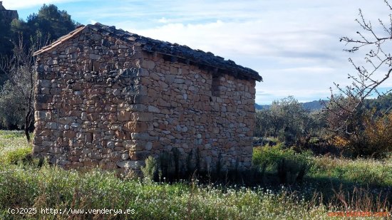  Finca en venta en Valderrobres (Teruel) 