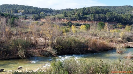 Finca en venta en Mazaleón (Teruel)