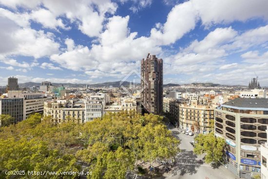 Apartamento en alquiler en Barcelona (Barcelona)