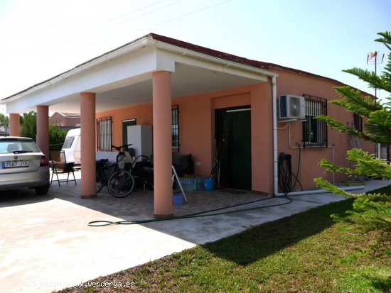 Finca en venta en Oliva (Valencia)