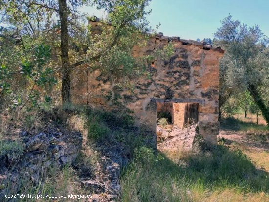 Finca en venta en Cretas (Teruel)