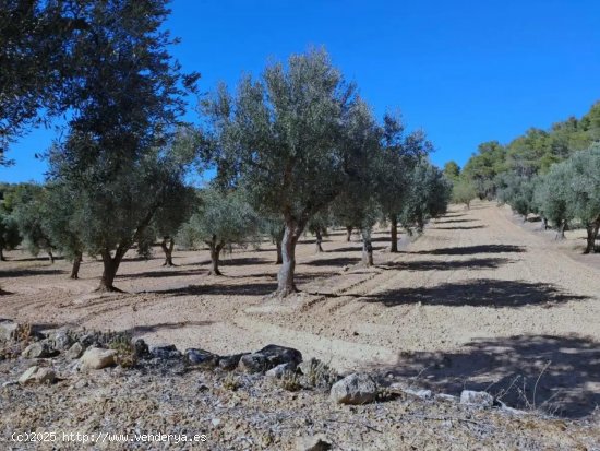  Finca en venta en Arens de Lledó (Teruel) 