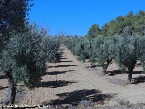 Finca en venta en Arens de Lledó (Teruel)