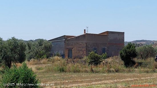 Finca en venta en Caspe (Zaragoza)