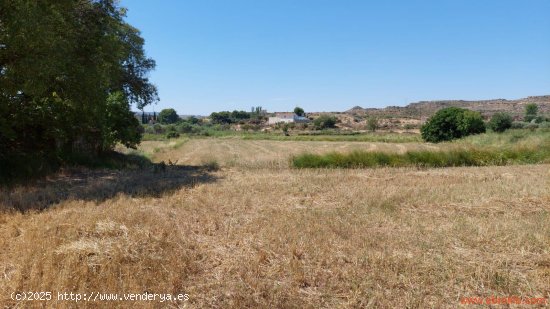 Finca en venta en Caspe (Zaragoza)