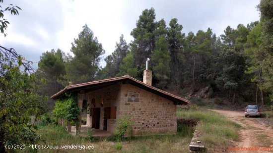 Finca en venta en Monroyo (Teruel)