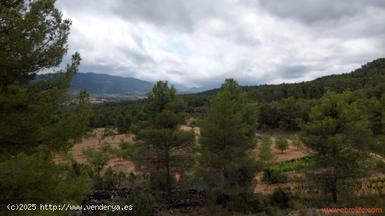 Finca en venta en Monroyo (Teruel)