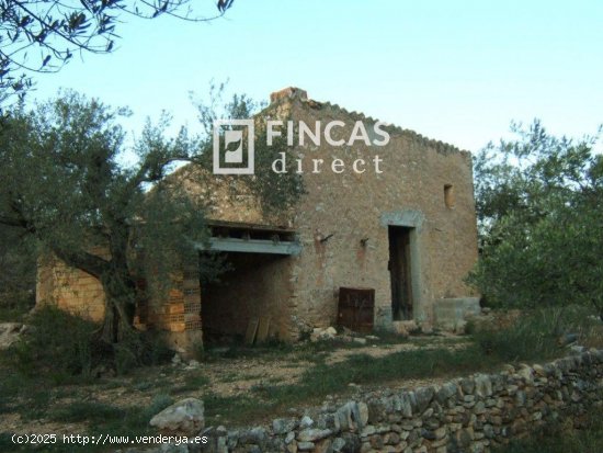  Finca en venta en Xerta (Tarragona) 