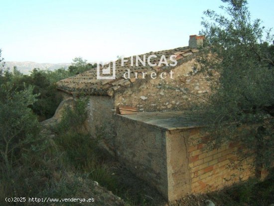 Finca en venta en Xerta (Tarragona)