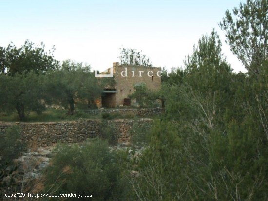 Finca en venta en Xerta (Tarragona)