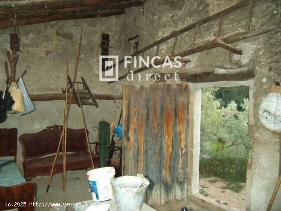 Finca en venta en Xerta (Tarragona)