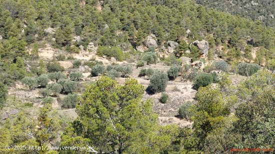 Finca en venta en Fuentespalda (Teruel)