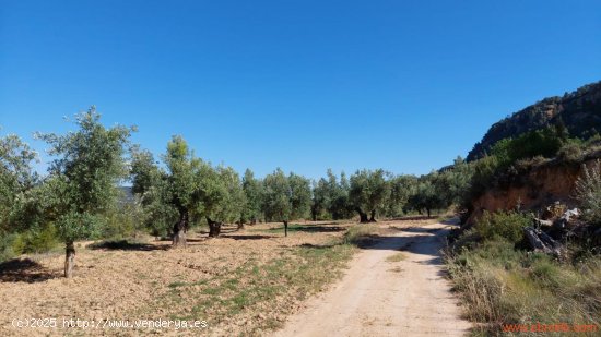 Finca en venta en Fuentespalda (Teruel)