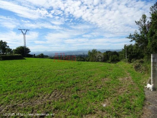  Parcela en venta a estrenar en Siero (Asturias) 