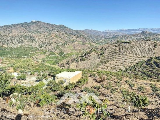 Finca en venta en Benamargosa (Málaga)