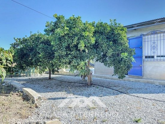 Finca en venta en Benamargosa (Málaga)