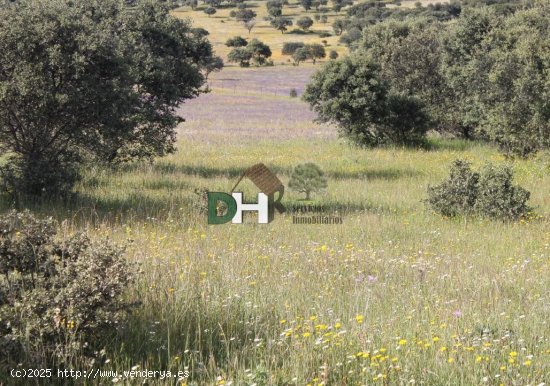 Solar en venta en Cáceres (Cáceres)