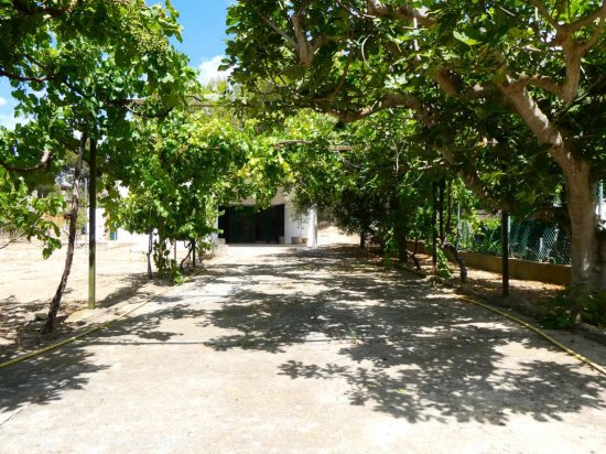 Finca en venta en Caspe (Zaragoza)