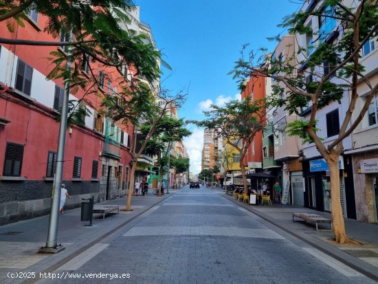 Local en alquiler en Las Palmas de Gran Canaria (Las Palmas)