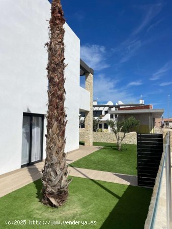 Dúplex en venta en Alicante (Alicante)