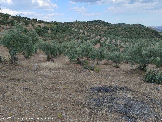 Finca en venta en Puebla del Maestre (Badajoz)