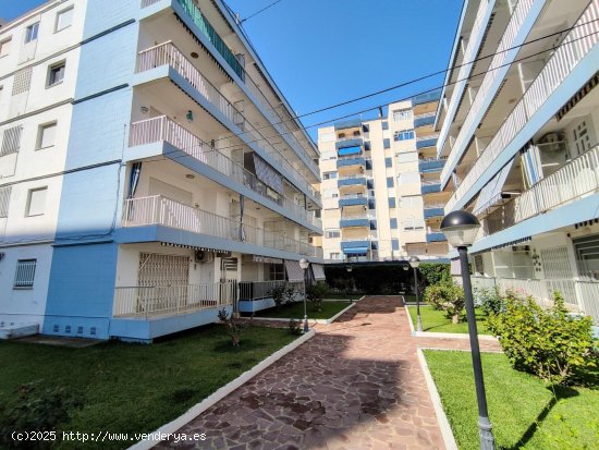 Apartamento en venta en Gandia (Valencia)