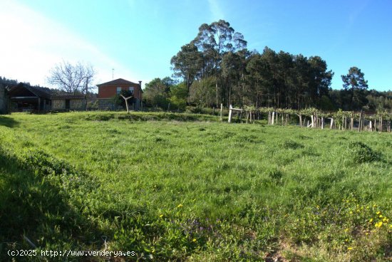 Solar en venta en Salceda de Caselas (Pontevedra)