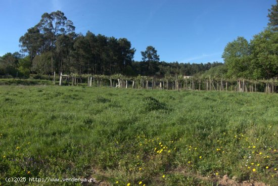 Solar en venta en Salceda de Caselas (Pontevedra)