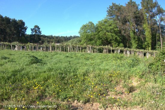 Solar en venta en Salceda de Caselas (Pontevedra)