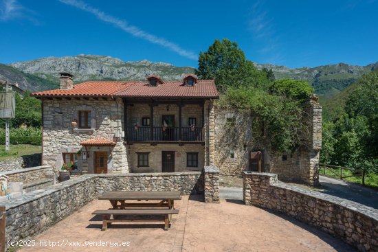 Local en venta en Peñamellera Alta (Asturias)