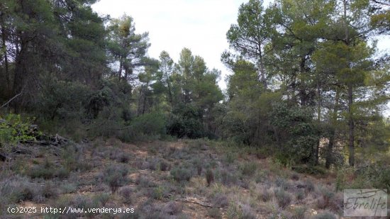 Finca en venta en Valderrobres (Teruel)