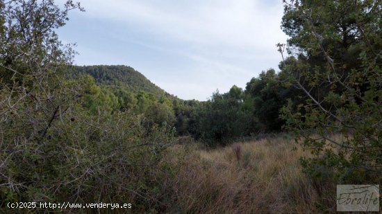 Finca en venta en Valderrobres (Teruel)