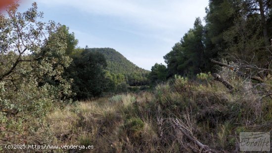 Finca en venta en Valderrobres (Teruel)