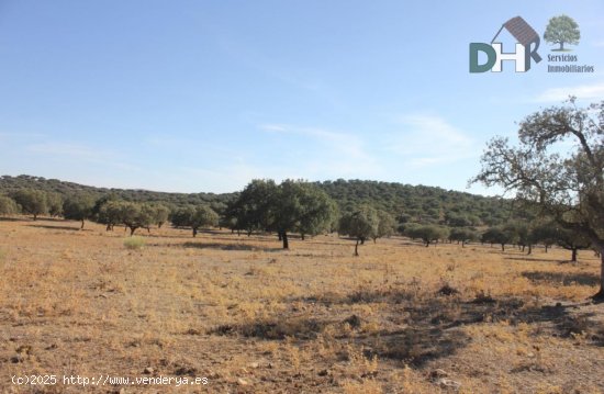 Solar en venta en Cáceres (Cáceres)