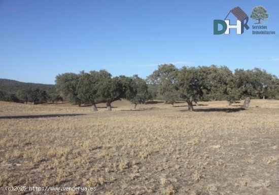 Solar en venta en Cáceres (Cáceres)