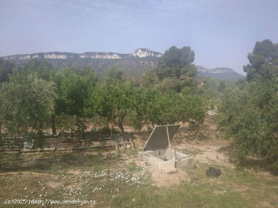  Finca en venta en Vilanova d Escornalbou (Tarragona) 