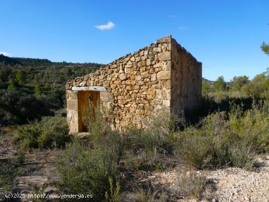 Finca en venta en Maella (Zaragoza)