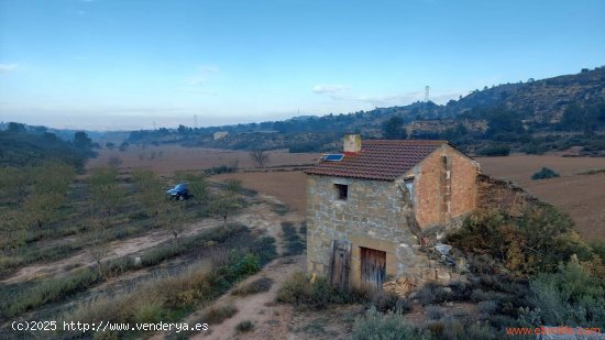 Finca en venta en Caspe (Zaragoza)