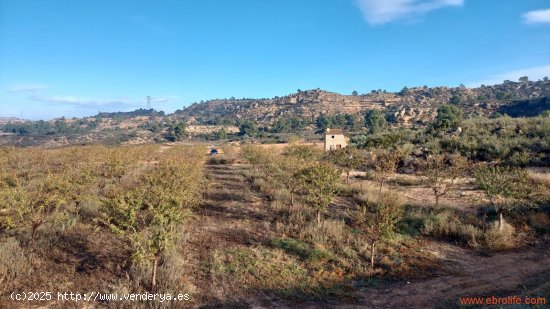 Finca en venta en Caspe (Zaragoza)