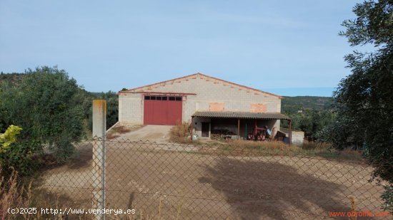  Nave en venta en La Fresneda (Teruel) 